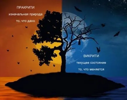 Prakriti vikriti în Ayurveda, yoga, slavyoga (vikriti) Prakriti și vikriti în Ayurveda, Yoga, slavyoga