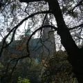 Spell pe luna în creștere în dragoste (iubire) Spell pe luna tot mai mare de iubire
