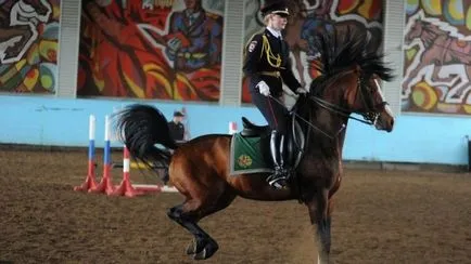 Profesie unchiul Stepan - poliție polițist