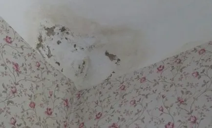 Scurgerile de acoperiș din clădirea de apartamente - ce să facă