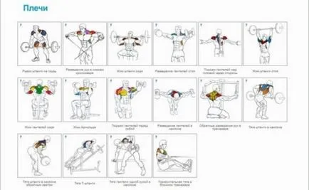 Programul de formare pentru un set de masa musculara cu exercitarea efectivă (set) Programul de formare pentru recrutare musculare, cu exerciții eficiente