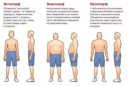 Programul de formare pentru un set de masa musculara cu exerciții eficiente (program) Programul de formare pentru recrutare musculare, cu exerciții eficiente