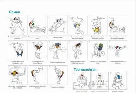 Programul de formare pentru un set de masa musculara cu exercitarea efectivă (antrenament) Programul de formare pentru recrutare musculare, cu exerciții eficiente