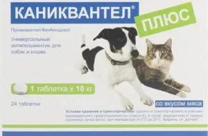 pastile comune pentru pisici pentru viermi și recomandări pentru aplicarea lor