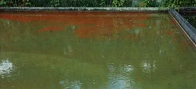 Publicații de hidrologie