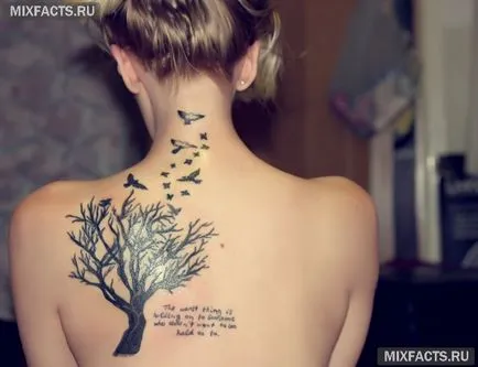 Bird tatuaje semnificație și fotografii (tatuaje pasăre) Bird tatuaje semnificație și fotografii