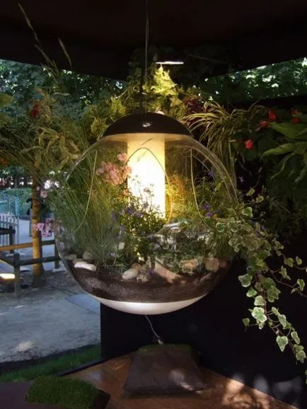 Plante în