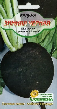 Ridichea - plantare și îngrijire, timp de plantare - negru, Margelan, daikon, iubesc grădina mea