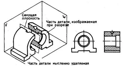 incizii orizontale, profil, fata