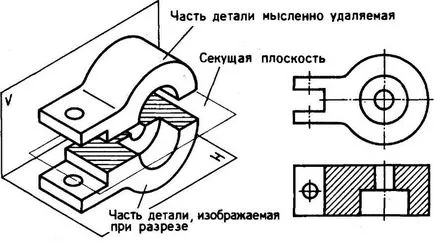 incizii orizontale, profil, fata