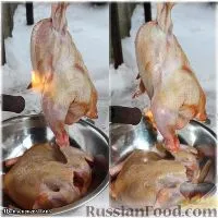pui Rețetă de pe tapaka