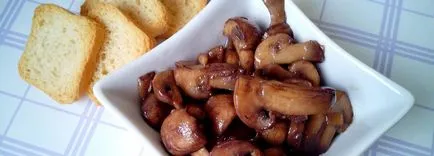 Rețete pentru ciuperci marinate (agarics miere Miere ciuperci de apă) Rețete pentru ciuperci marinate