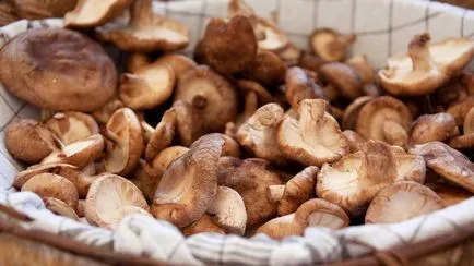 Rețete murat miere agarizat (miere agaric) Rețete pentru ciuperci marinate