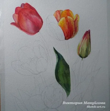 Desenați un buchet de lalele