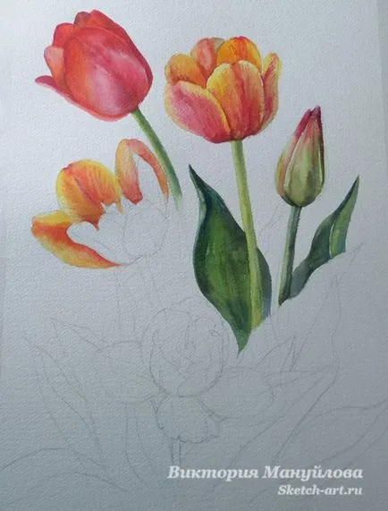 Desenați un buchet de lalele
