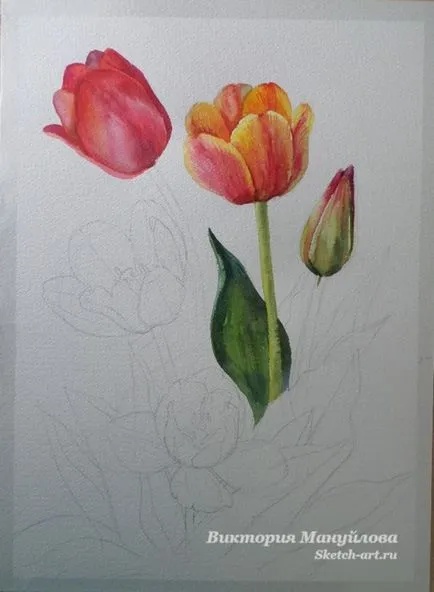 Desenați un buchet de lalele