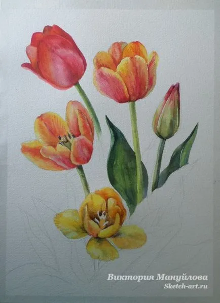 Desenați un buchet de lalele