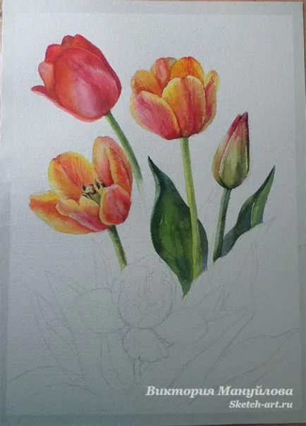 Desenați un buchet de lalele