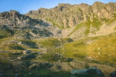 Moonshine on rețete de coacăze negre și roșii, cum să infuzi acasă