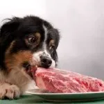 Drob pentru câini verde, carne de vită, uscat ce este, în cazul în care să cumpere, prețul și compoziția casei de câine (uscat) Drob pentru câini verde, carne de vită, uscat ce este, în cazul în care să cumpere, prețul și compoziția casei de câine