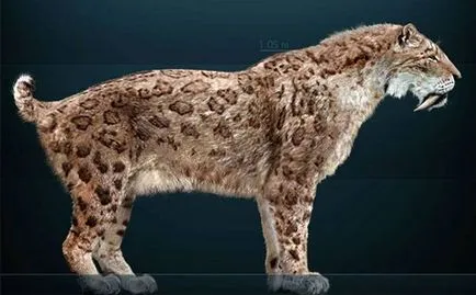Dințat tigru „- smilodon