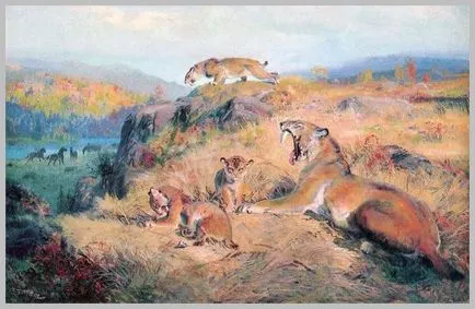 Sabretooth Tiger - o pisică uriașă care trăiește ca un lup - grup Tensegrității Moscova Carlos Castaneda