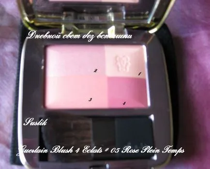 fard de obraz Blush 4 Eclats (număr crescut de umbra 05 temps plein) de comentarii, Guerlain - poze si descriere