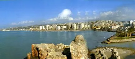Cea mai mare descriere balenă și fotografii (ridicat) Cea mai mare descriere balene și fotografii