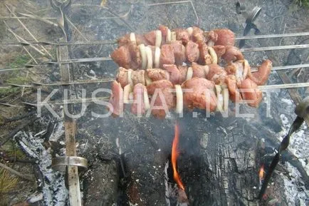 Carne de porc în vin