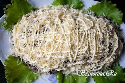 Salata Puff cu carne de pui, ciuperci, brânză și prune reteta cu fotografie (salata) Salata Puff cu carne de pui, ciuperci, brânză și prune reteta cu o fotografie