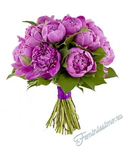 buchet de nunta Lilac - compoziția alegere dreapta (foto) (opțional) buchet de nunta Lilac - compoziția alegere dreapta (foto)