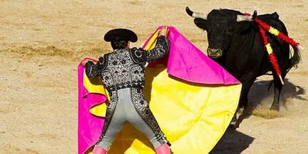 Interpretare vis ucide un taur la care visează să omoare un taur într-un vis (de a ucide) Vis Interpretarea ucide un taur care a vis de a ucide un taur într-un vis