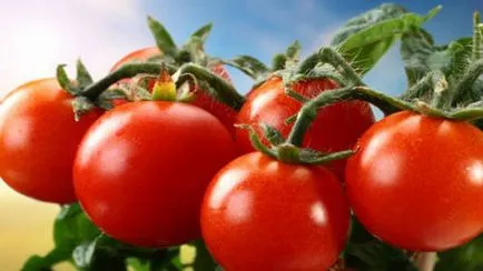 Interpretarea de vis visate tomate tomate vis ce este un vis