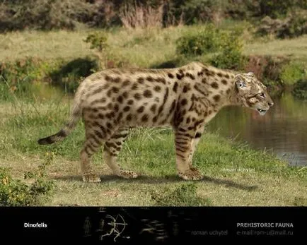 Smilodon și alte pisici dintat saber (pisici) Smilodon pisici dintat saber și alte