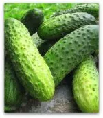 soiuri de castravete