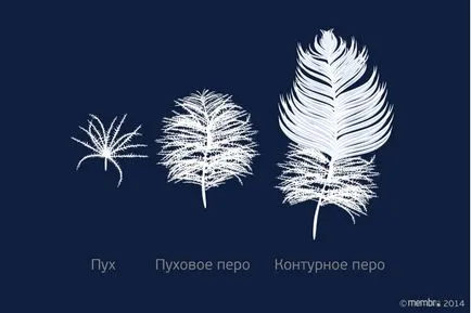 O comparație a pufului