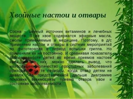 pin silvestru, pin silvestru Tratament