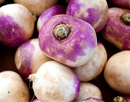 Datele de plantare, îngrijire, cultivarea de video ridiche Margelan (ridiche) Datele de plantare, îngrijire, cultivarea de ridiche video de Margelan