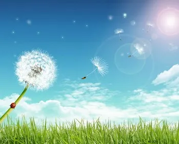despre vară Poezii, o mare selecție de cele mai bune poeme despre vară (versetul) Poezii despre vara, o mare selecție de cele mai bune poezii despre vara