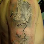 Bird tatuaj sensul fotografii, schițe (tatuaj) Bird tatuaj sensul fotografii, schițe