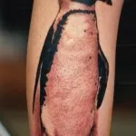 Bird tatuaj sensul fotografii, schițe (schițe) Bird tatuaj sensul fotografii, schițe