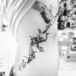 Bird tatuaj sensul fotografii, schițe (tatuaj) Bird tatuaj sensul fotografii, schițe