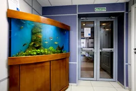 Sverdlovsk clinică stomatologică regională ( „Sverdlovsk Regional Dental) Sverdlovsk clinică dentară regională
