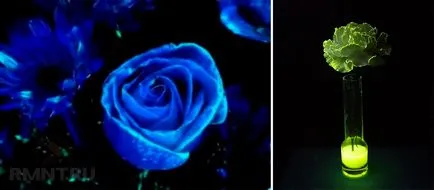 Glow în întuneric vopsea cu mâinile lor
