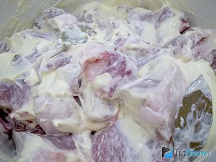 Porc secrete de gătit kebab maioneza