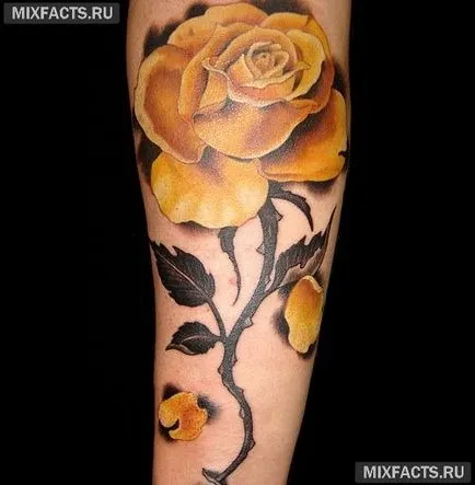 Rose sensul tatuaj și fotografii