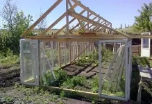 Cu efect de seră de lemn de lemn pentru a construi cu propriile lor mâini, un 50x50 și o diagramă detaliată a serei,