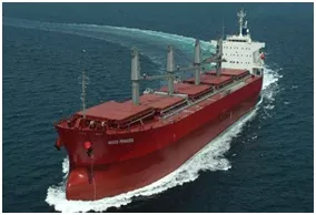 Tipuri de nave