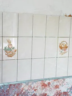 Tehnologia de placare pereților interiori cu plăci ceramice cu mâinile lor în fotografie și stilul de finisare (gresie) Tehnologia de placare pereților interiori cu plăci ceramice cu mâinile în stilul foto și finisare