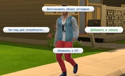 The Sims 4 Codul dezvoltator - modul de introducere și de a folosi un cod de ieftin